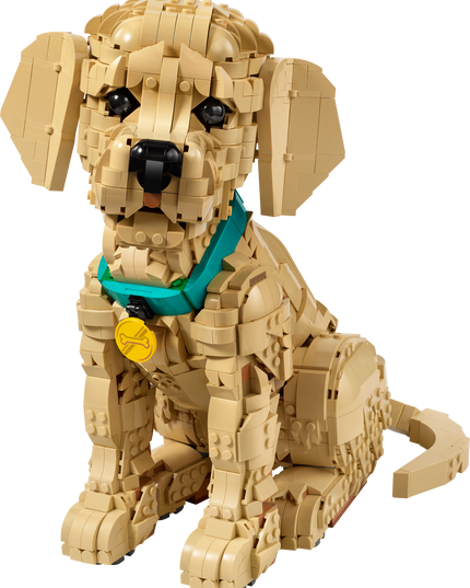 LEGO® ICONS Golden Retriever Puppy 11384
