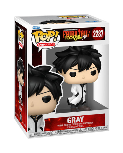 FUNKO POP! ANIMATION:FT100YQ- GRAY W/CH