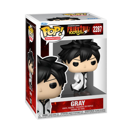 FUNKO POP! ANIMATION:FT100YQ- GRAY W/CH